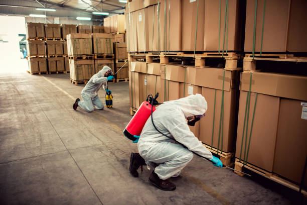 Best Emergency Pest Control  in Kimberling City, MO