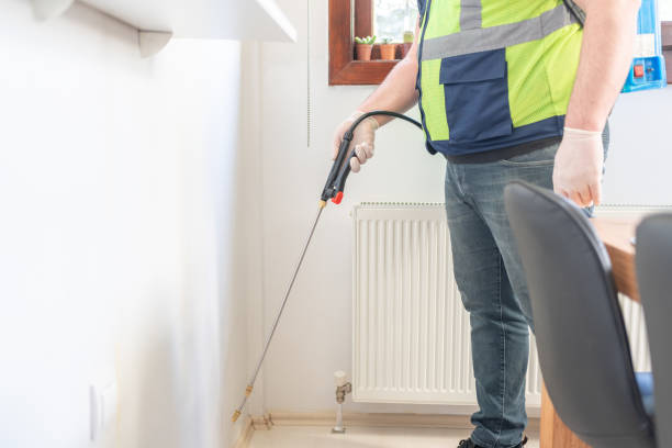 Best Flea Control Services  in Kimberling City, MO