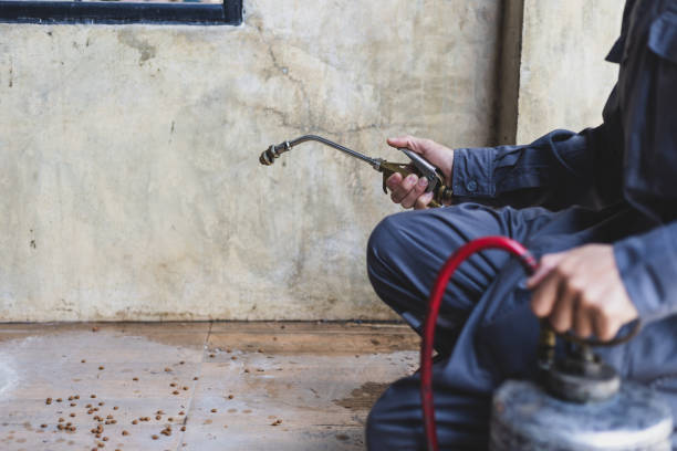 Best Termite Control Services  in Kimberling City, MO